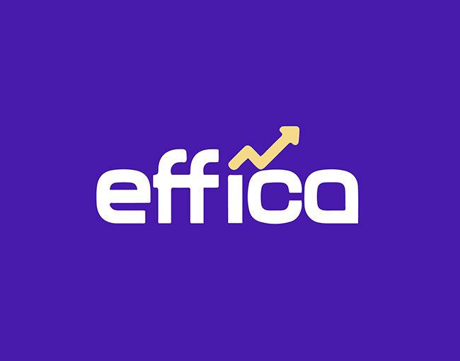 Curso de uso de Effica